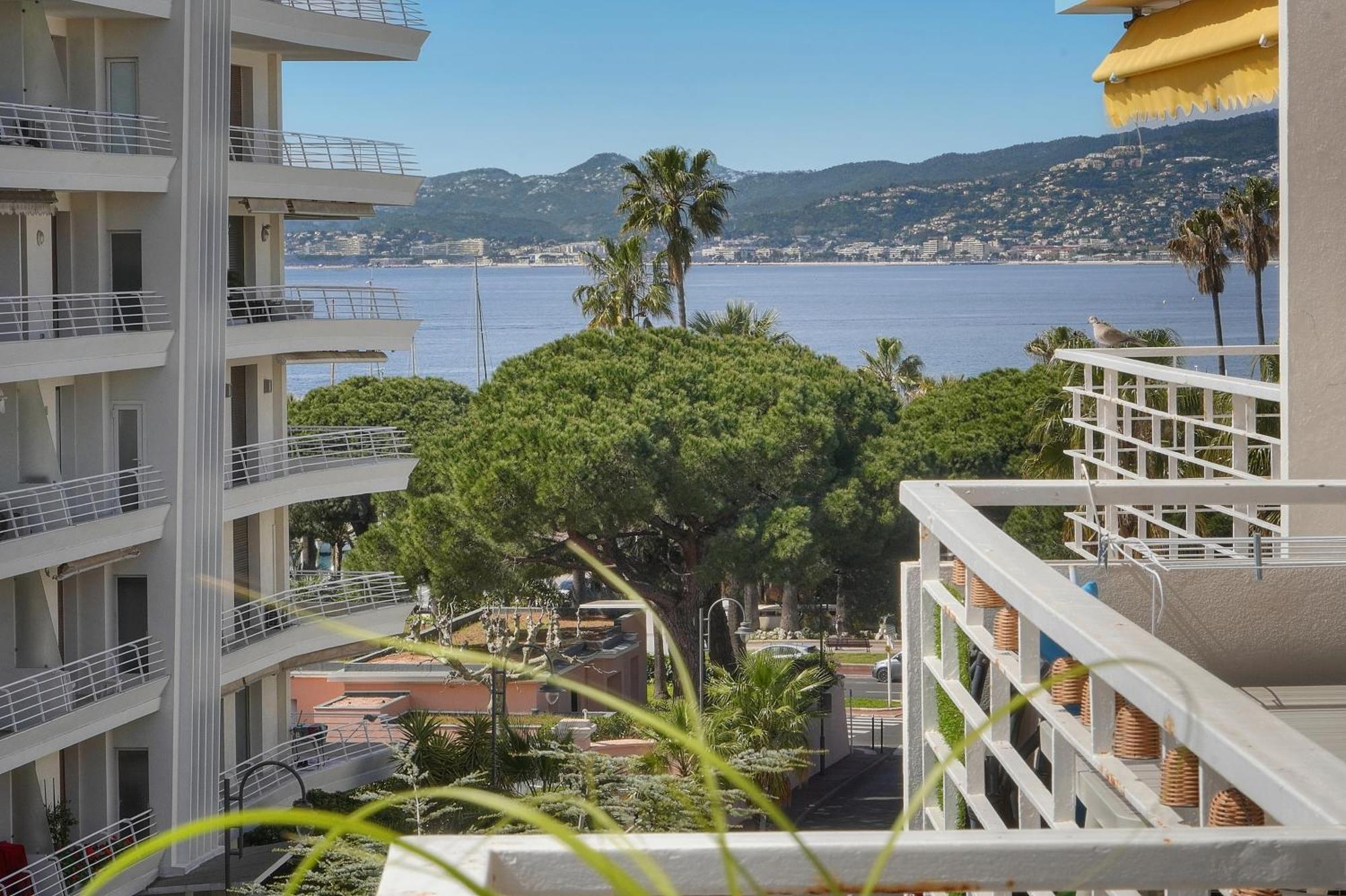 Frgk "Etoile Du Sud Terrasse Vue Mer Palm Beach" Cannes Kültér fotó